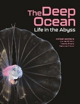 The Deep Ocean - Michael Vecchione, Louise Allcock, Imants Priede, Hans van Haren