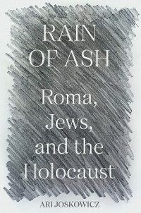 Rain of Ash -  Ari Joskowicz