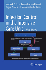 Infection Control in the Intensive Care Unit - van Saene, Hendrick K.F.; Silvestri, Luciano; de la Cal, Miguel A.; Gullo, Antonino