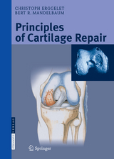 Principles of Cartilage Repair - Christoph Erggelet, Bert R. Mandelbaum