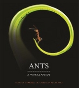 Ants - Heather Campbell, Benjamin Blanchard