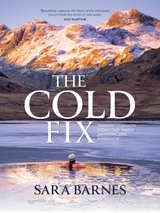 The Cold Fix - Sara Barnes