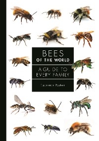 Bees of the World -  Laurence Packer