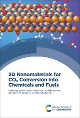 2D Nanomaterials for CO2 Conversion into Chemicals and Fuels - 