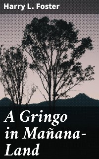 A Gringo in Mañana-Land - Harry L. Foster
