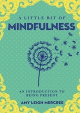 Little Bit of Mindfulness -  Amy Leigh Mercree