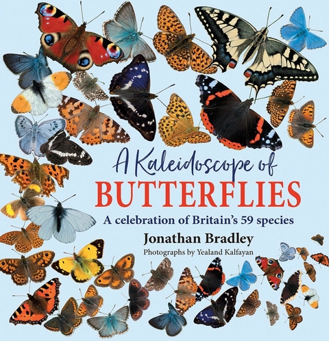 A Kaleidoscope of Butterflies - Jonathan Bradley