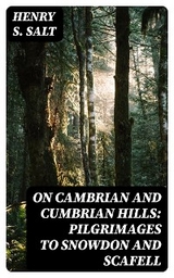 On Cambrian and Cumbrian Hills: Pilgrimages to Snowdon and Scafell - Henry S. Salt