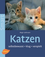 Katzen - Birgit Gollmann