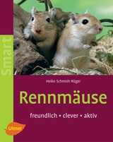 Rennmäuse - Heike Schmidt-Röger