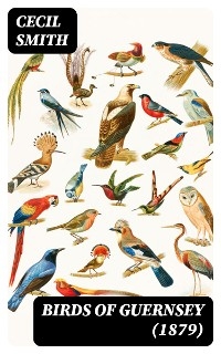 Birds of Guernsey (1879) - Cecil Smith