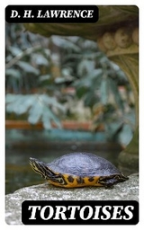 Tortoises - D. H. Lawrence