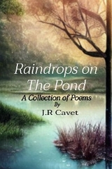 Raindrops on The Pond -  J.R Cavet