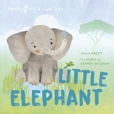 Little Elephant - Anna Brett