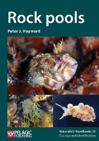 Rock pools -  Peter J. Hayward