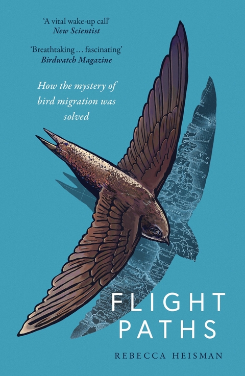 Flight Paths -  Rebecca Heisman