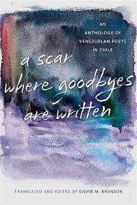 Scar Where Goodbyes Are Written - 