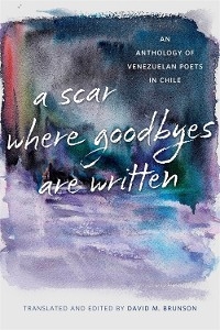 A Scar Where Goodbyes Are Written - 