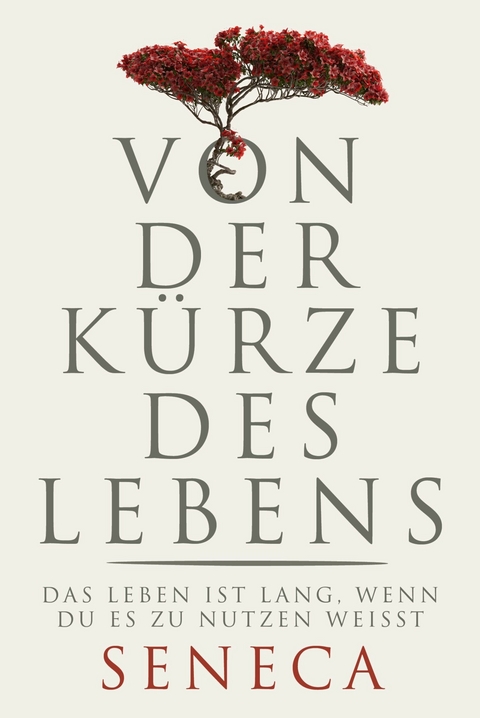 Von der Kürze des Lebens -  Lucius Annaeus Seneca