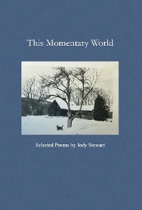 This Momentary World -  Jody Stewart