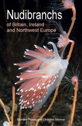 Nudibranchs of Britain, Ireland and Northwest Europe -  Christine Morrow,  Bernard Picton