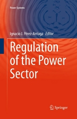 Regulation of the Power Sector - 