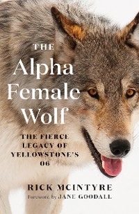 The Alpha Female Wolf - Rick McIntyre