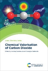 Chemical Valorisation of Carbon Dioxide - 