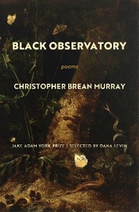 Black Observatory -  Christopher Brean Murray