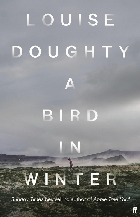 Bird in Winter -  Louise Doughty