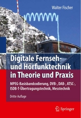 Digitale Fernseh- und Hörfunktechnik in Theorie und Praxis - Fischer, Walter