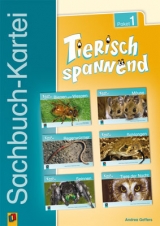 Sachbuch-Kartei: Tierisch spannend - Paket 1 - Andrea Geffers