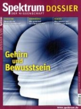 Gehirn und Bewusstsein