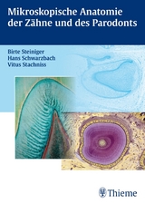 Mikroskopische Anatomie der Zähne und des Parodonts - Birte Steiniger, Vitus Stachniss, Hans Schwarzbach