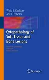 Cytopathology of Soft Tissue and Bone Lesions -  Walid E. Khalbuss,  Anil V. Parwani