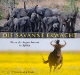 Die Savanne erwacht - Andreas Fischer, Judith Burri