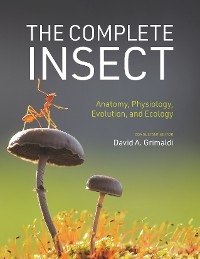 Complete Insect - 