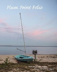 Plum Point Folio - Christine Higgins