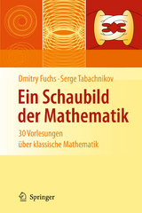 Ein Schaubild der Mathematik - Dmitry Fuchs, Serge Tabachnikov