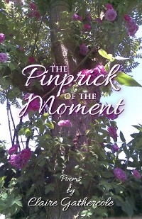 Pinprick of the Moment -  Claire Gathercole