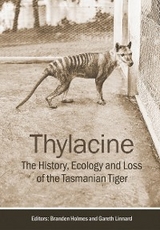 Thylacine - 