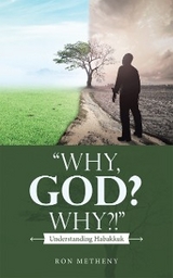 &quote;Why, God? Why?!&quote; -  Ron Metheny