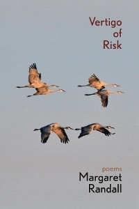 Vertigo of Risk -  Margaret Randall