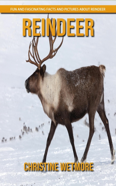 Reindeer - Fun and Fascinating Facts and Pictures About Reindeer - Christine Wetmore