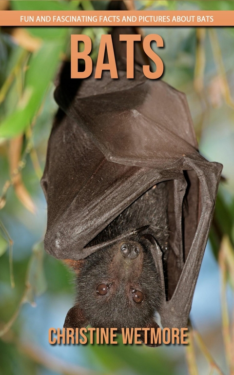 Bats - Fun and Fascinating Facts and Pictures About Bats - Christine Wetmore