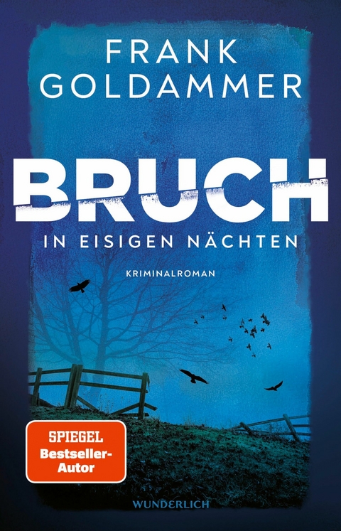 Bruch: In eisigen Nächten -  Frank Goldammer