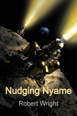 Nudging Nyame -  Robert Wright