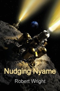 Nudging Nyame -  Robert Wright