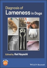Diagnosis of Lameness in Dogs - 