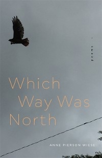 Which Way Was North -  Anne Pierson Wiese